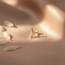 Radiant Crown Nosepin