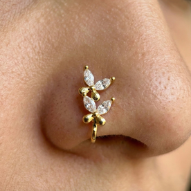 Dwigulika Flora Nath